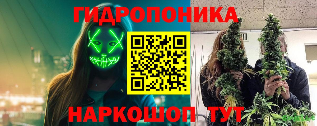 Шишки марихуана сатива  Марихуана индика  Канаш  Вход с VPN  Бошки Шишки THC 21%  Каннабис Ganja 